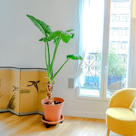Apartment Spacious Studio Near Montmartre Paris
